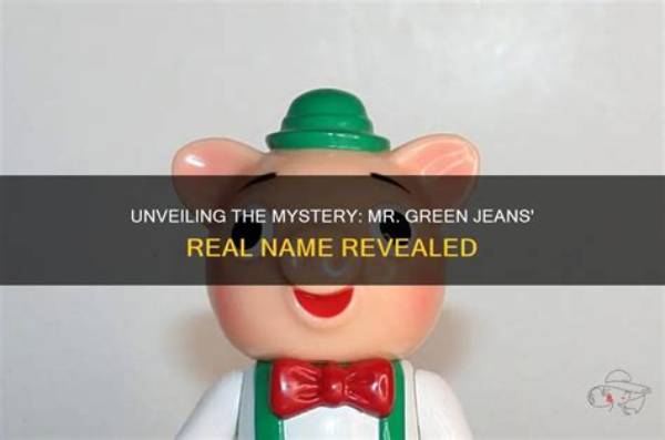 Unveiling the Mystery: Who Is the Mr. Beast Onlyfans Girl?
