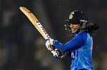 Unveiling the Secrets of a Cricketing Colos