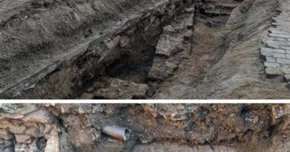 Unveiling the Secrets of Baden Donegal's Net Worth: Discoveries and Insights