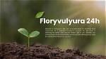 Unveiling the Secrets of Floryvulyura 24H: Discoveries and Insights