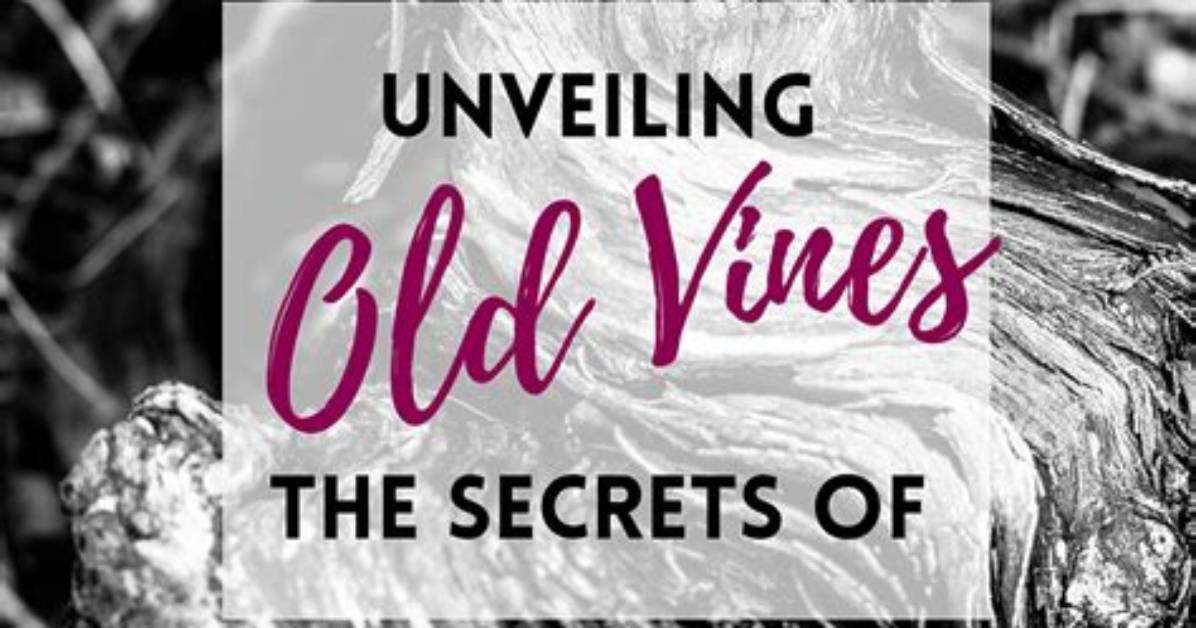 Unveiling the Secrets of "How Old Is Louis Whitlow": Discoveries and Insights Unlocked