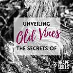 Unveiling the Secrets of "How Old Is Louis Whitlow": Discoveries and Insights Unlocked