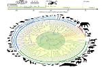 Unveiling the Secrets of Mammalian Evolution with Nadene R. Teaford