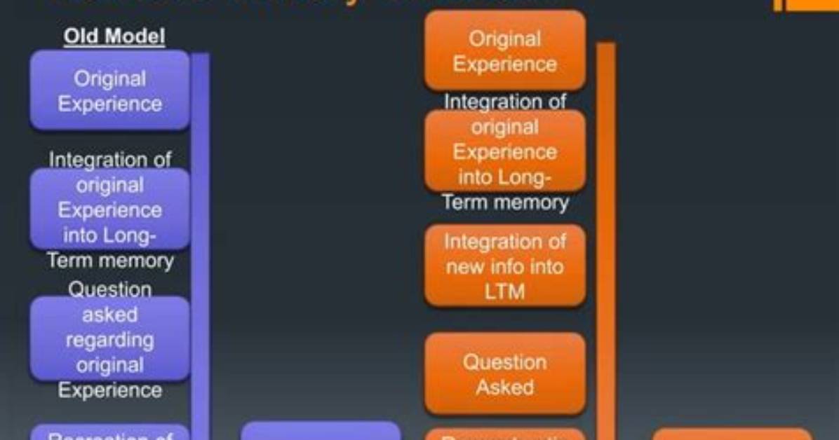 Unveiling the Secrets of Memory: Michael Loftus's Wikipedia Revelation