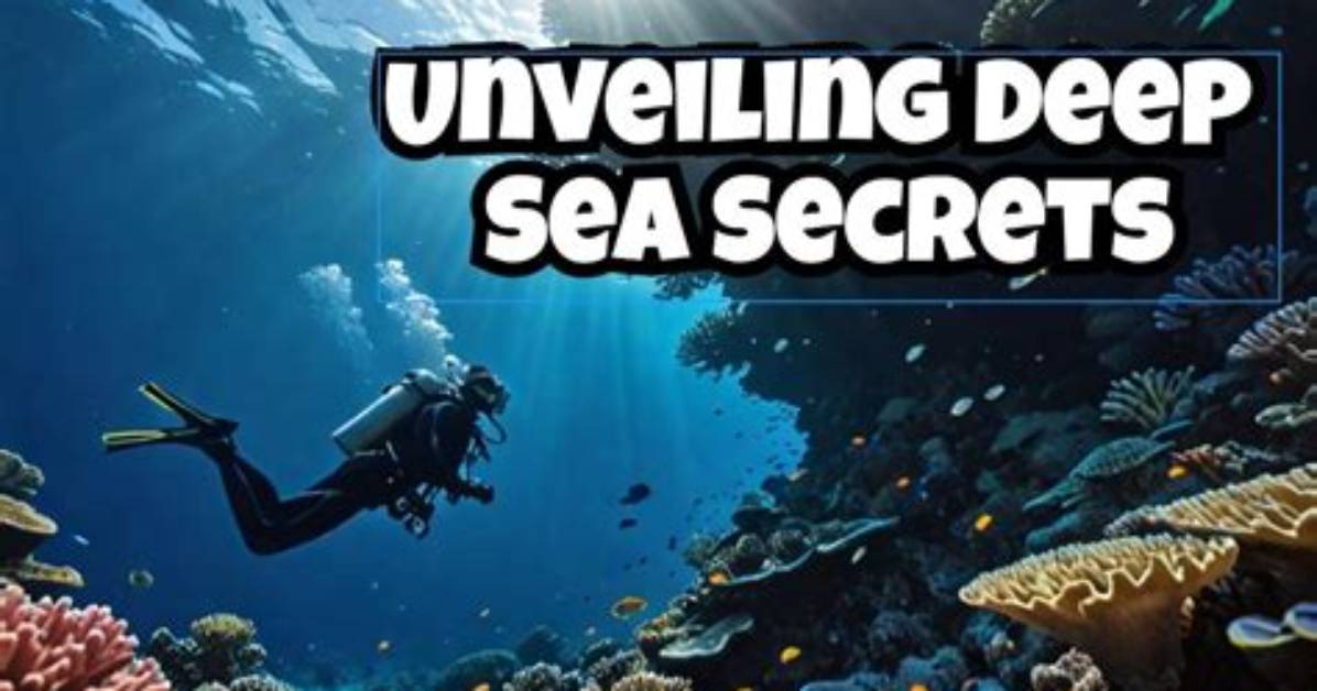 Unveiling the Secrets of Ocean Alley: Discoveries and Insights