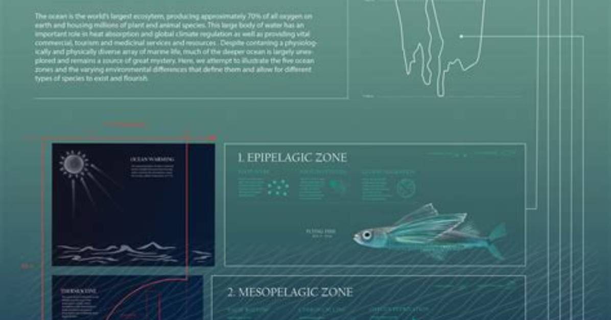 Unveiling the Secrets of Ocean Alley Names: Discoveries and Insights
