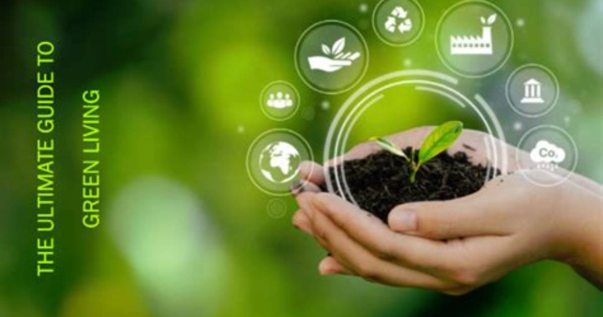 Unveiling the Secrets of Sustainable Living with Sabrina Mcgillivray