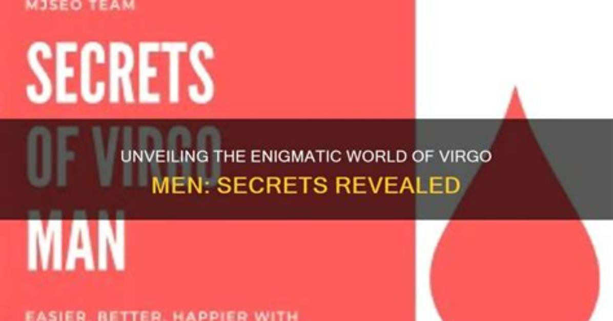 Unveiling the Secrets of Virgo Men: a Journey of Discovery