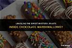 Unveiling the Sweet Mystery: Who Is Marshmallow?