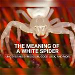 Unveiling the Symbolism and Meaning Behind Spider Lilies