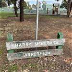 Unveiling the Talents of Harry Mccormick: the Rising Actor