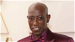 Unveiling the Wealth of Wesley Snipes: a Deep Dive into His Net Worth