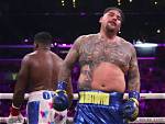 Unveiling the World of Andy Ruiz's Kids: Surprising Discoveries and Insights