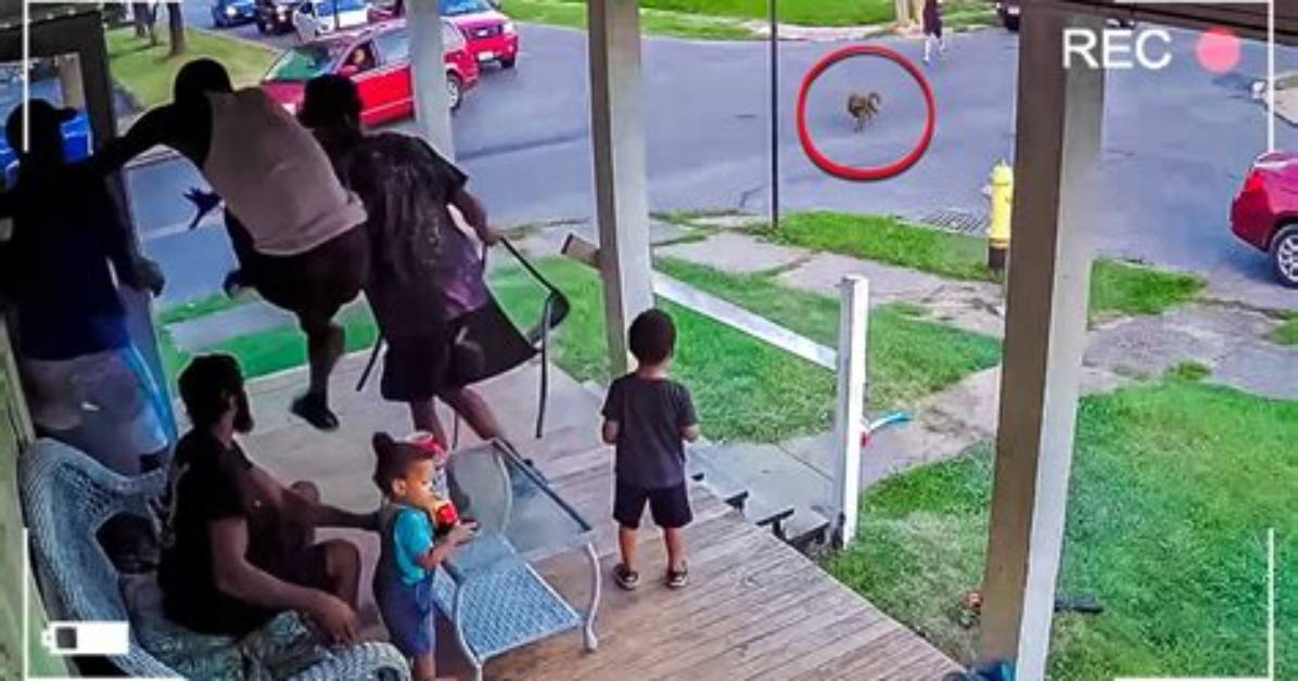 Watch: Caught on Cctv! Kid and His Mom's Heartbreaking Reunion