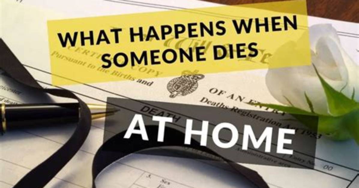 What Happens If Someone Dies on the Show Alone? a Deep Dive into Survival Reality Tv