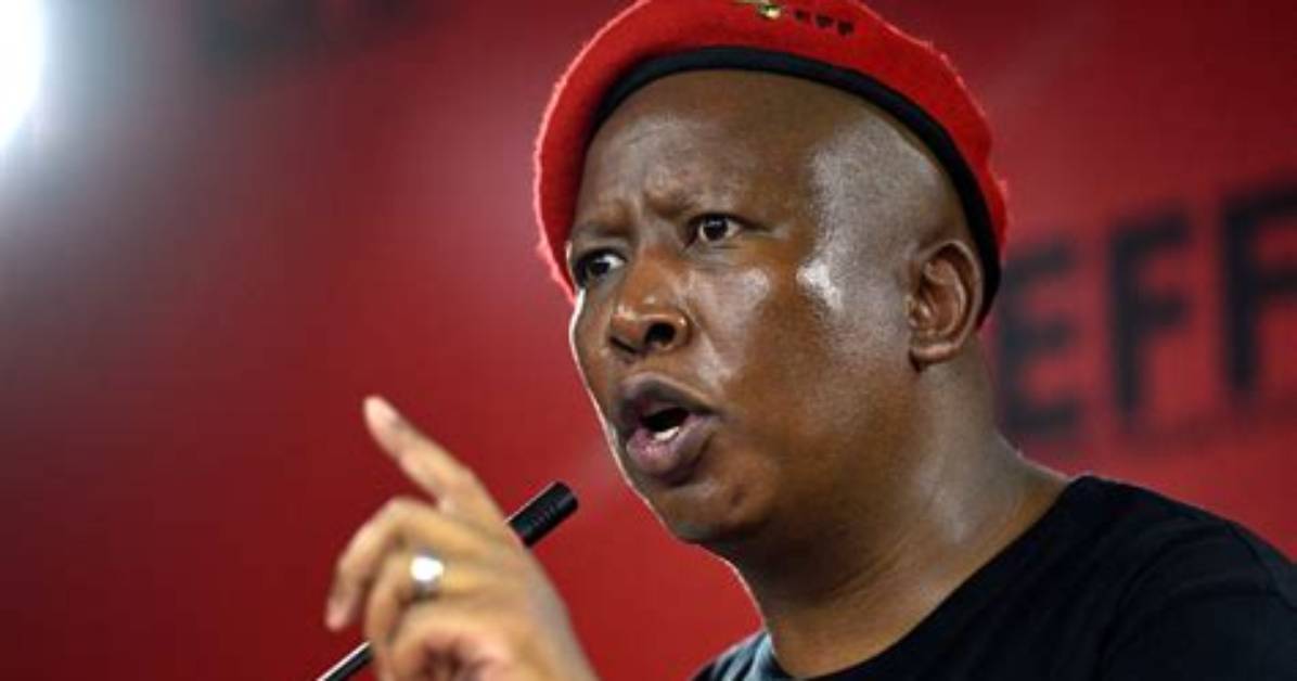 What Is Julius Malema's Age? Explore His Life Timeline