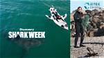 Where Is Dickie Chivell from Shark Week from? Background Story and More