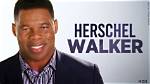 Who Is Dennis Washington? Herschel Walker Allegedly Solicited $500,000 from Billionaire to Fund Private Company
