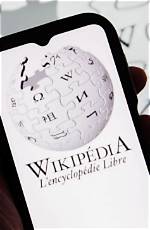 Wikipedia: the Comprehensive Guide to Internet Historian