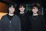 Wikipedia: the Sturniolo Triplets