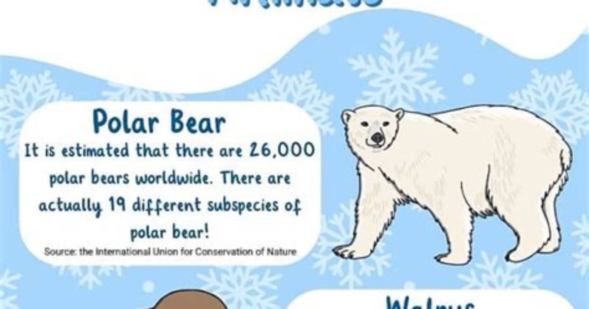 Yamals: Your Guide to the Arctic's Enigmatic Indigenous Peoples