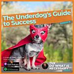 Your Guide to Babging the Underdog in 2022